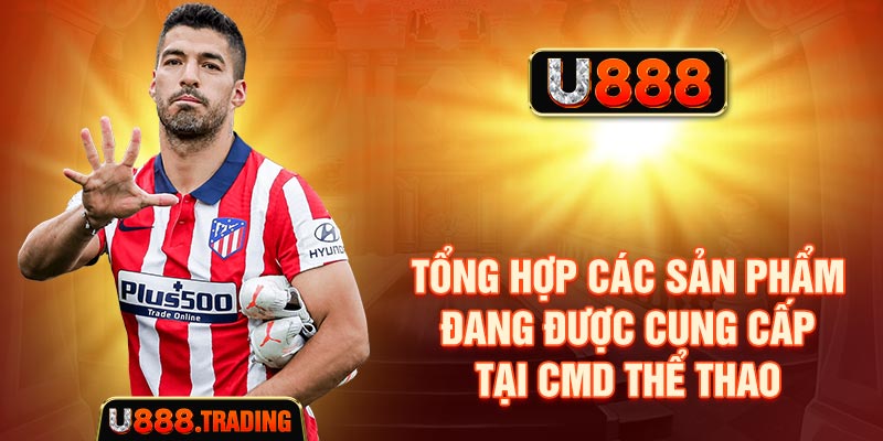 Các sản phẩm và thị trường phổ biến tại CMD thể thao