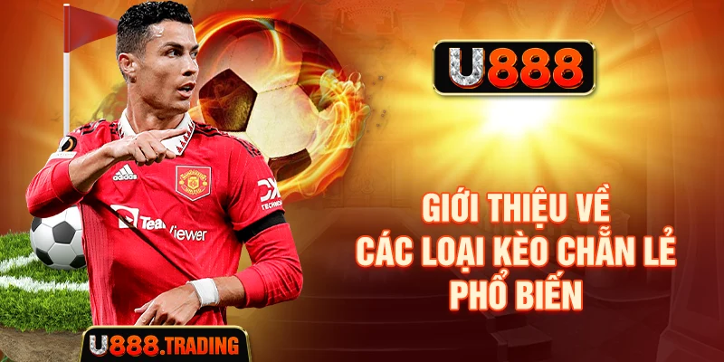 Các dạng kèo chẵn lẻ thường gặp trong bóng đá